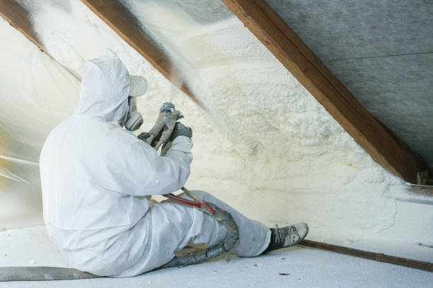 Best Insulation for New Construction  in Kincheloe, MI