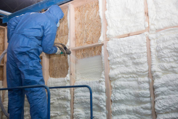 Best Attic Insulation Installation  in Kincheloe, MI